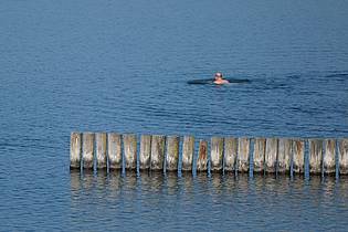 Sebastian Willnow/dpa | Viele Menschen dürften an diesem Wochenende Abkühlung suchen - so wie dieser Schwimmer am Markkleeberger See bei Leipzig.