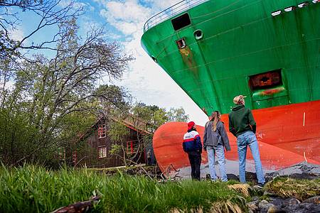Jan Langhaug/NTB/dpa | Da steht ein Containerschiff im Garten.