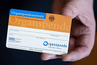 Hendrik Schmidt/dpa/dpa-tmn | Ein Organspendeausweis kann helfen, den eigenen Willen festzuhalten und im Ernstfall bekannt zu machen.