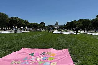 Franziska Spiecker/dpa | ?Trans Lives Matters? - auf der National Mall vor dem Kapitol sind am ersten Tag der Worldpride verschiedene Banner zu sehen, auf denen die Rechte von Transpersonen eingefordert werden. 
