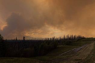 Nasuna Stuart-Ulin/The Canadian Press via AP/dpa | Der Rauch eines Waldbrandes hängt in der Luft über dem Highway 97 (British Columbia).