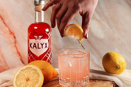Cocktailkunst GmbH/dpa-tmn | Die alkoholarme Abwandlung von «Moscow Mule»: Der «Kalyx Mule» ist ein fruchtig-floraler Aperitif mit Aromen von Himbeere, Grapefruit und Rose. 