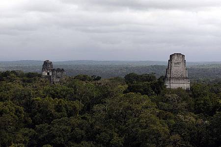 Sandra Sebastian/EFE via epa/dpa | In der Nähe der Unesco-Weltkulturerbestätte Tikal wurde eine rund 2.900 Jahre alte Maya-Stätte entdeckt.