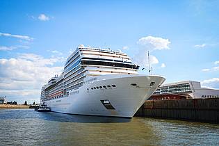 Christian Charisius/dpa | Das Kreuzfahrtschiff «MSC Magnifica», von dem die Frau verschwand.