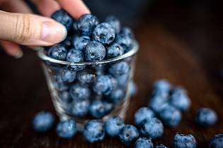Sina Schuldt/dpa | Klein, blau, erfolgreich als Snack: die Heidelbeere. Sie boomt immer noch. (Archivfoto)