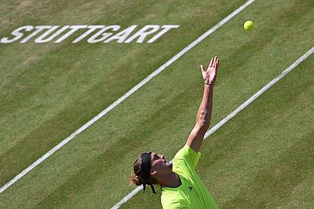 Marijan Murat/dpa | Alexander Zverev trennen bei seiner ersten Stuttgart-Teilnahme seit 2019 noch zwei Siege vom Titel.