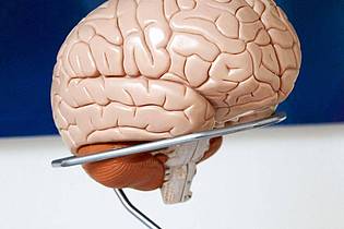 Georg Wendt/dpa/dpa-tmn | Neuroplastizität beim Windelwechsel: Die Geburt eines Kindes verändert nicht nur das Leben, sondern auch das Gehirn von Vätern.