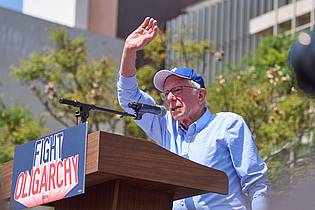 Jae C. Hong/AP/dpa | Musk bekam ausgerechnet vom notorisch linken Senator Bernie Sanders Applaus. (Archivbild)