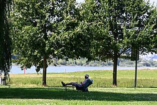 Roberto Pfeil/dpa | Ein Mann hat sich ein schattiges Plätzchen am Ufer des Rheins in Leverkusen gesucht. (Archivbild)