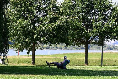 Roberto Pfeil/dpa | Ein Mann hat sich ein schattiges Plätzchen am Ufer des Rheins in Leverkusen gesucht. (Archivbild)
