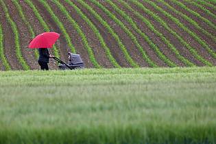 Thomas Warnack/dpa | Am Samstag könnten sich bereits wieder einige starke Gewitter über der Mitte Deutschlands bilden. 