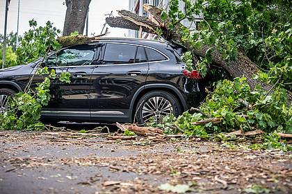 Michael Kappeler/dpa | Orkanartige Windböen, wie sie in Berlin am Montag Bäume zum Umsturz brachten, soll es am Dienstag nicht mehr geben.
