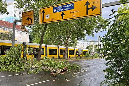 Holger Mehlig/dpa | Das gesamte Stadtgebiet war den Angaben nach betroffen - hier abgebrochene Äste im Prenzlauer Berg.