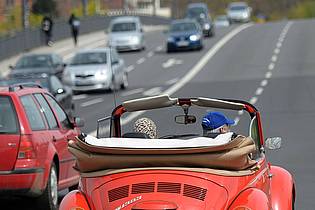 David Ebener/dpa | Cabrios - hier ein VW Käfer - sind zwar Kult, aber angeblich auch out in Deutschland. (Archivbild)