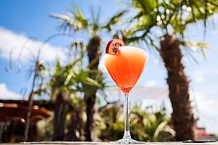 Christian Charisius/dpa | Ein Passionsfrucht Martini (auch Pornstar Martini oder Maverick Martini genannt) steht unter Palmen auf einem Tisch in einer Strandbar.