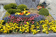 Grab mit verschiedenen Blumen