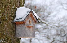Vogelhaeuschen am Baum im Schnee
