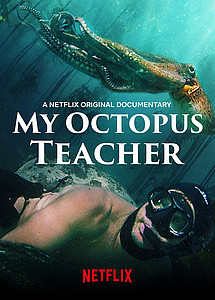 Streaming-Tipp - Szene aus "Mein Lehrer, der Krake"