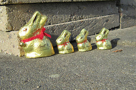 Osterhasenfamilie zu Ostern