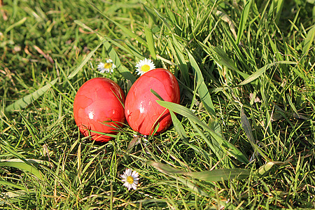 rote Ostereier