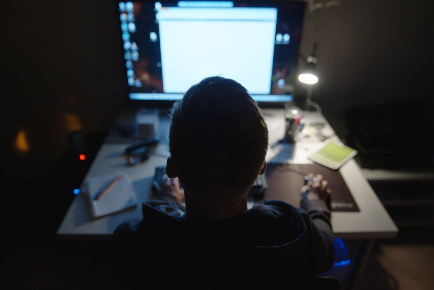 streaming-tipp-shiny-flakes-netflix