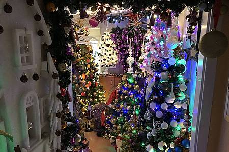 weihnachtsbaumsammler