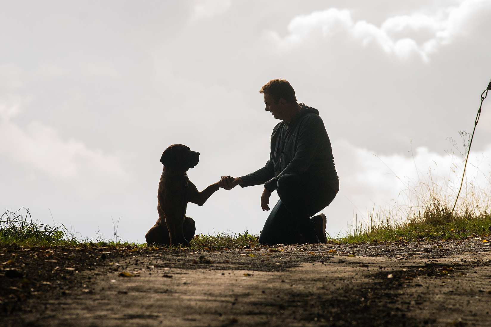 Hundetalk