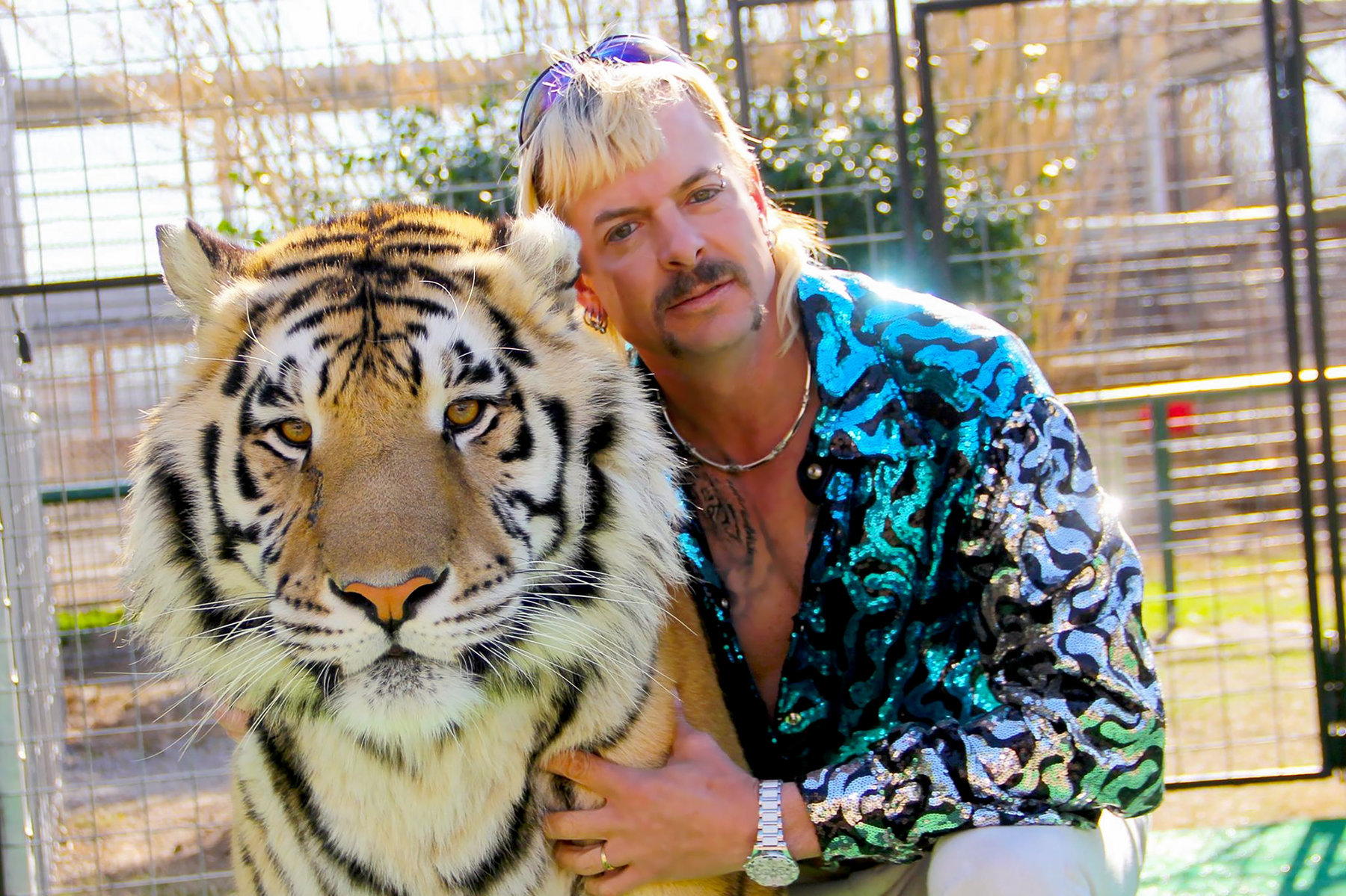 streaming-tipp-tiger-king-netflix