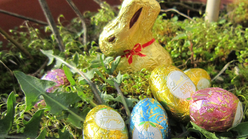 Hase und Eier