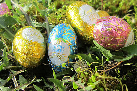 Schokoeier zu Ostern im Löwenzahn