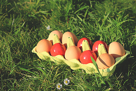 Bunte Ostereier